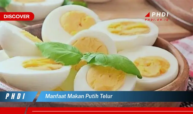 manfaat makan putih telur