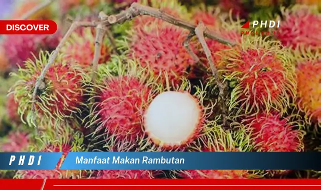 manfaat makan rambutan