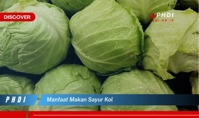 manfaat makan sayur kol