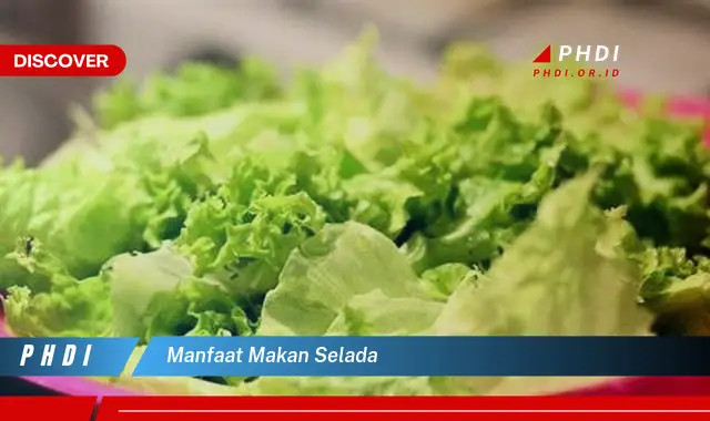 manfaat makan selada