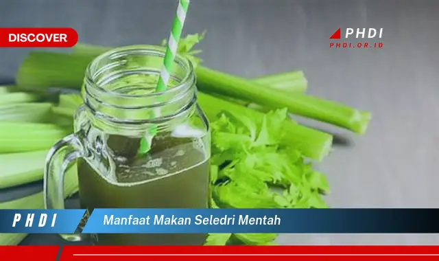 manfaat makan seledri mentah