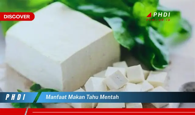 manfaat makan tahu mentah