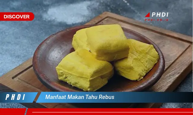 manfaat makan tahu rebus