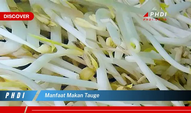 manfaat makan tauge