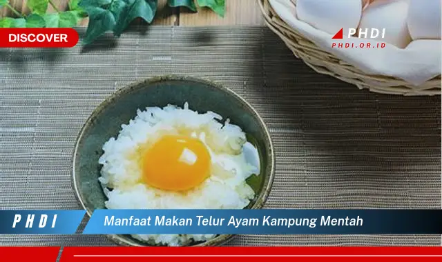 manfaat makan telur ayam kampung mentah