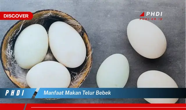 manfaat makan telur bebek