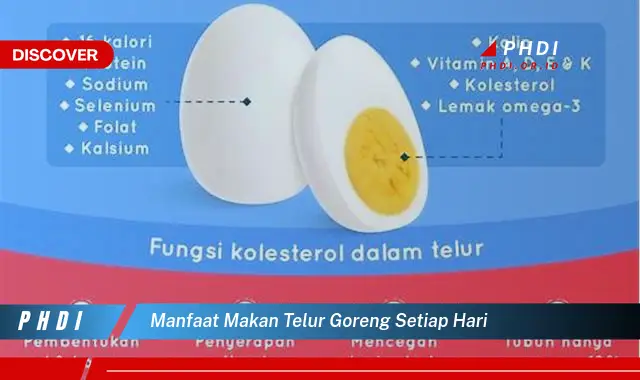 manfaat makan telur goreng setiap hari