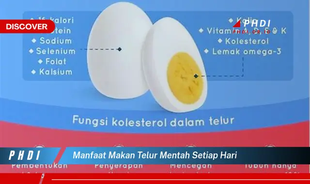 manfaat makan telur mentah setiap hari