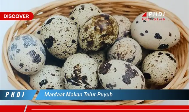 manfaat makan telur puyuh