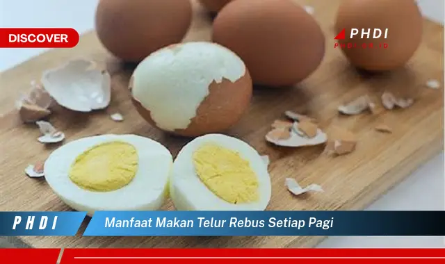 manfaat makan telur rebus setiap pagi