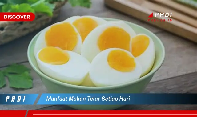 manfaat makan telur setiap hari