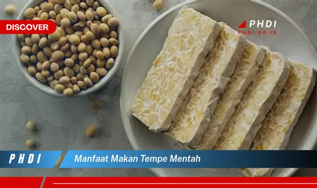 manfaat makan tempe mentah