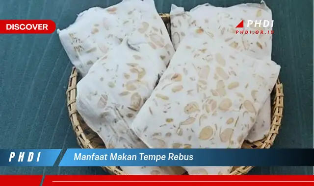 manfaat makan tempe rebus