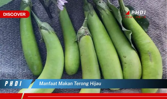 manfaat makan terong hijau