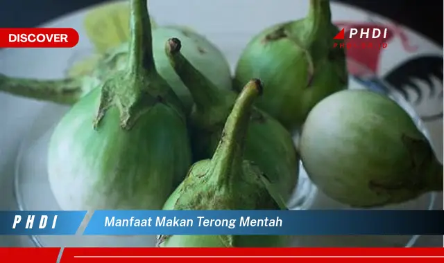 manfaat makan terong mentah