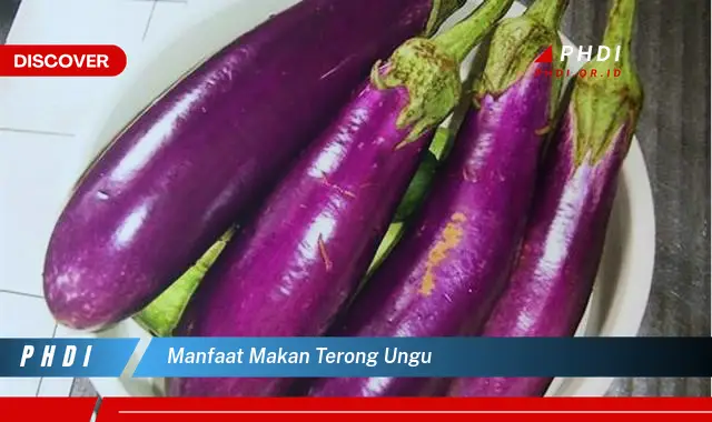 manfaat makan terong ungu