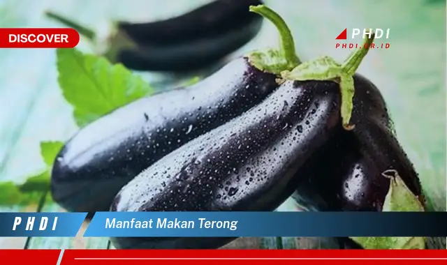 manfaat makan terong