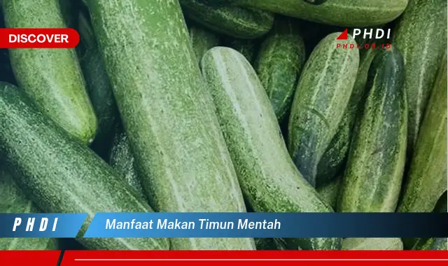 manfaat makan timun mentah