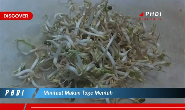 manfaat makan toge mentah