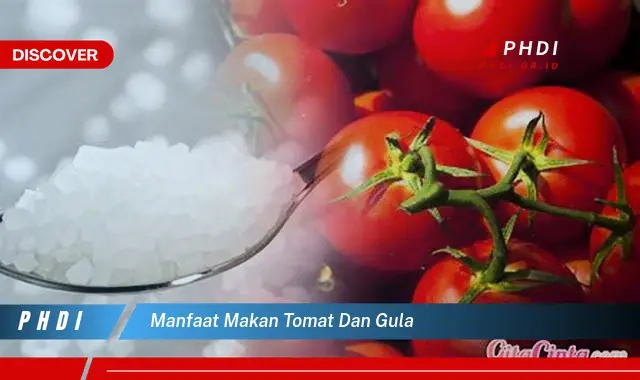 Temukan 7 Manfaat Makan Tomat dan Gula yang Bikin Kamu Penasaran