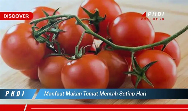 manfaat makan tomat mentah setiap hari