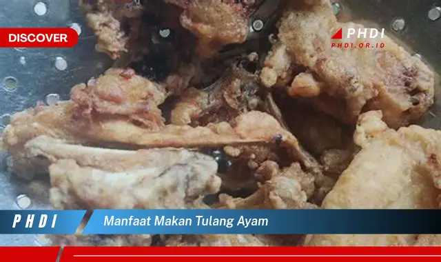 manfaat makan tulang ayam