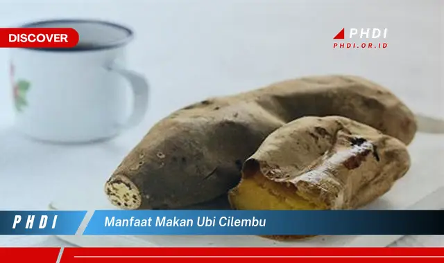 manfaat makan ubi cilembu