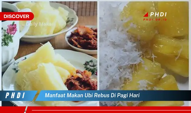 manfaat makan ubi rebus di pagi hari