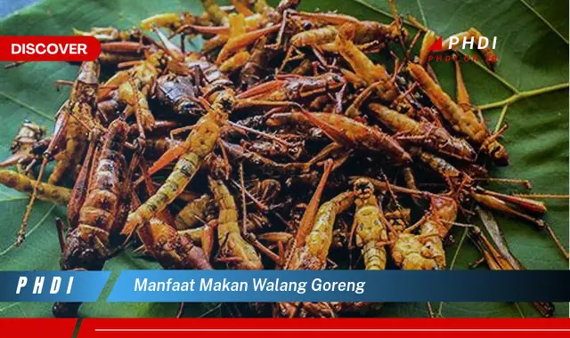 manfaat makan walang goreng