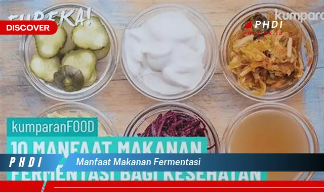 manfaat makanan fermentasi