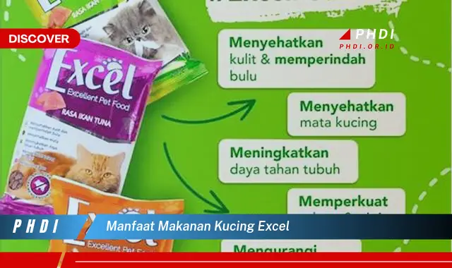 manfaat makanan kucing excel