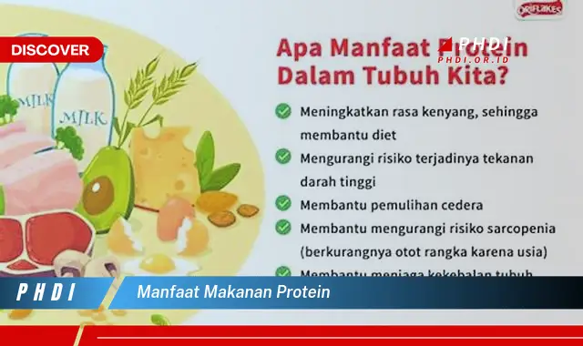 manfaat makanan protein