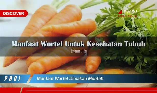 manfaat wortel dimakan mentah