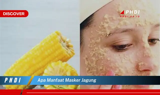 apa manfaat masker jagung