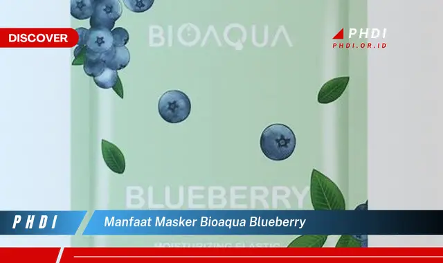 manfaat masker bioaqua blueberry