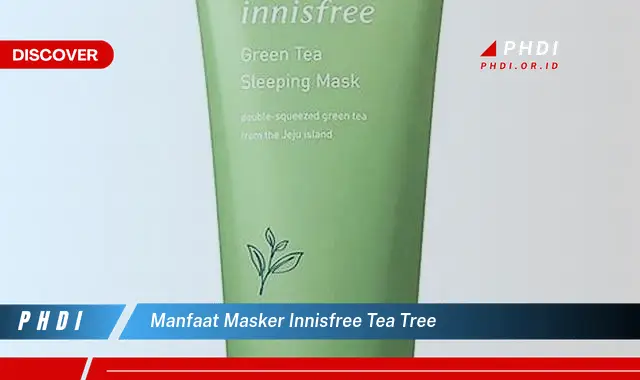 manfaat masker innisfree tea tree