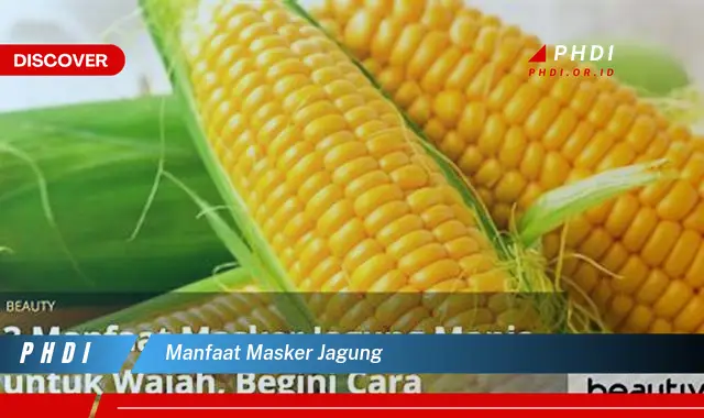 manfaat masker jagung