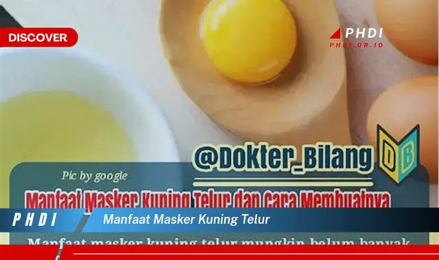 manfaat masker kuning telur