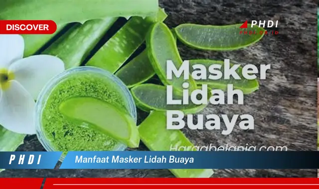 manfaat masker lidah buaya