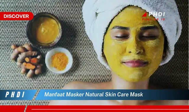 manfaat masker natural skin care mask