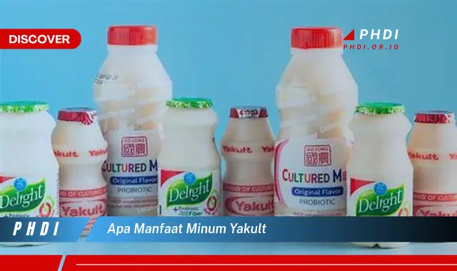 apa manfaat minum yakult