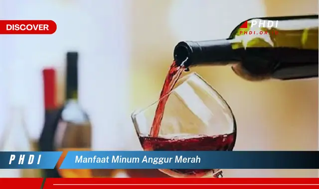 manfaat minum anggur merah