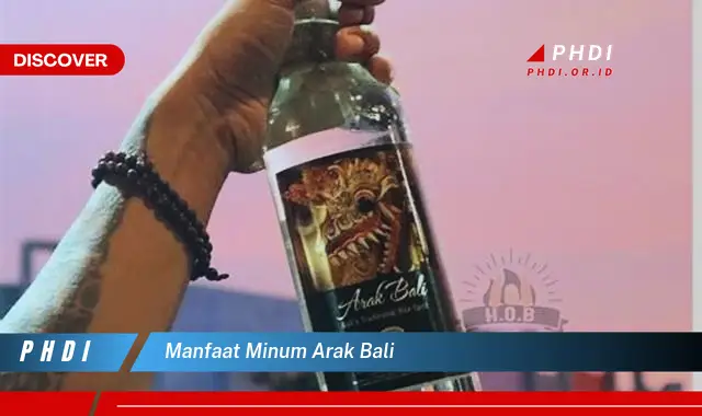 manfaat minum arak bali