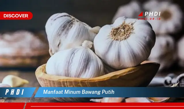 manfaat minum bawang putih