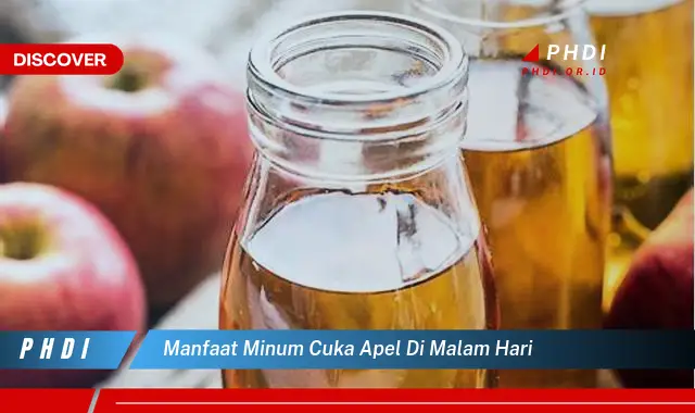 manfaat minum cuka apel di malam hari