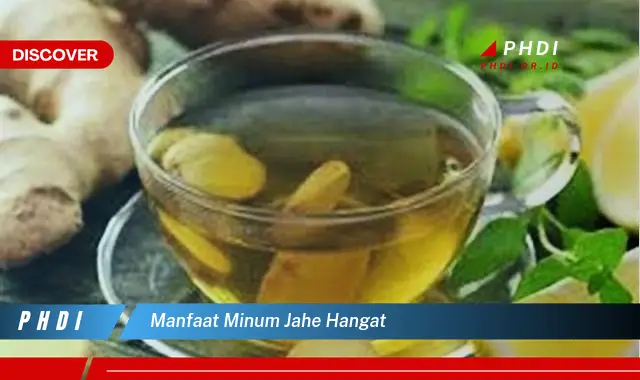 manfaat minum jahe hangat