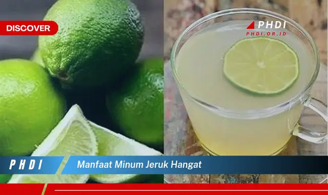 manfaat minum jeruk hangat