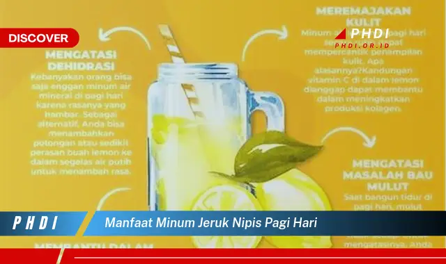 manfaat minum jeruk nipis pagi hari