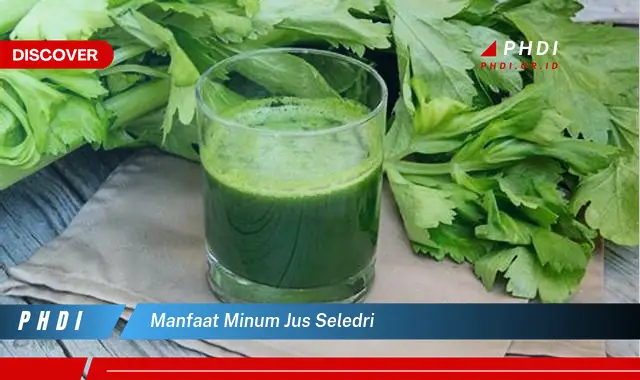 manfaat minum jus seledri