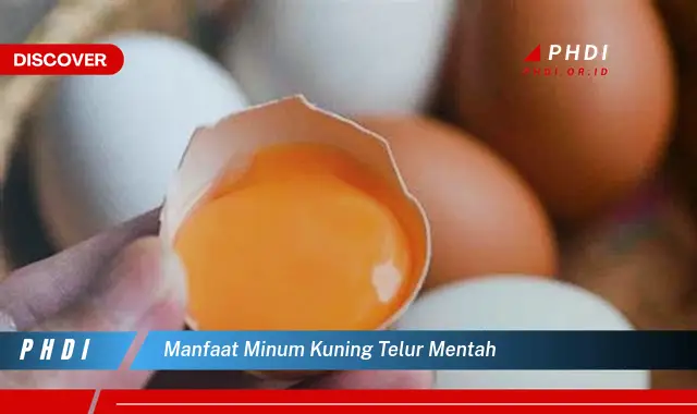 manfaat minum kuning telur mentah